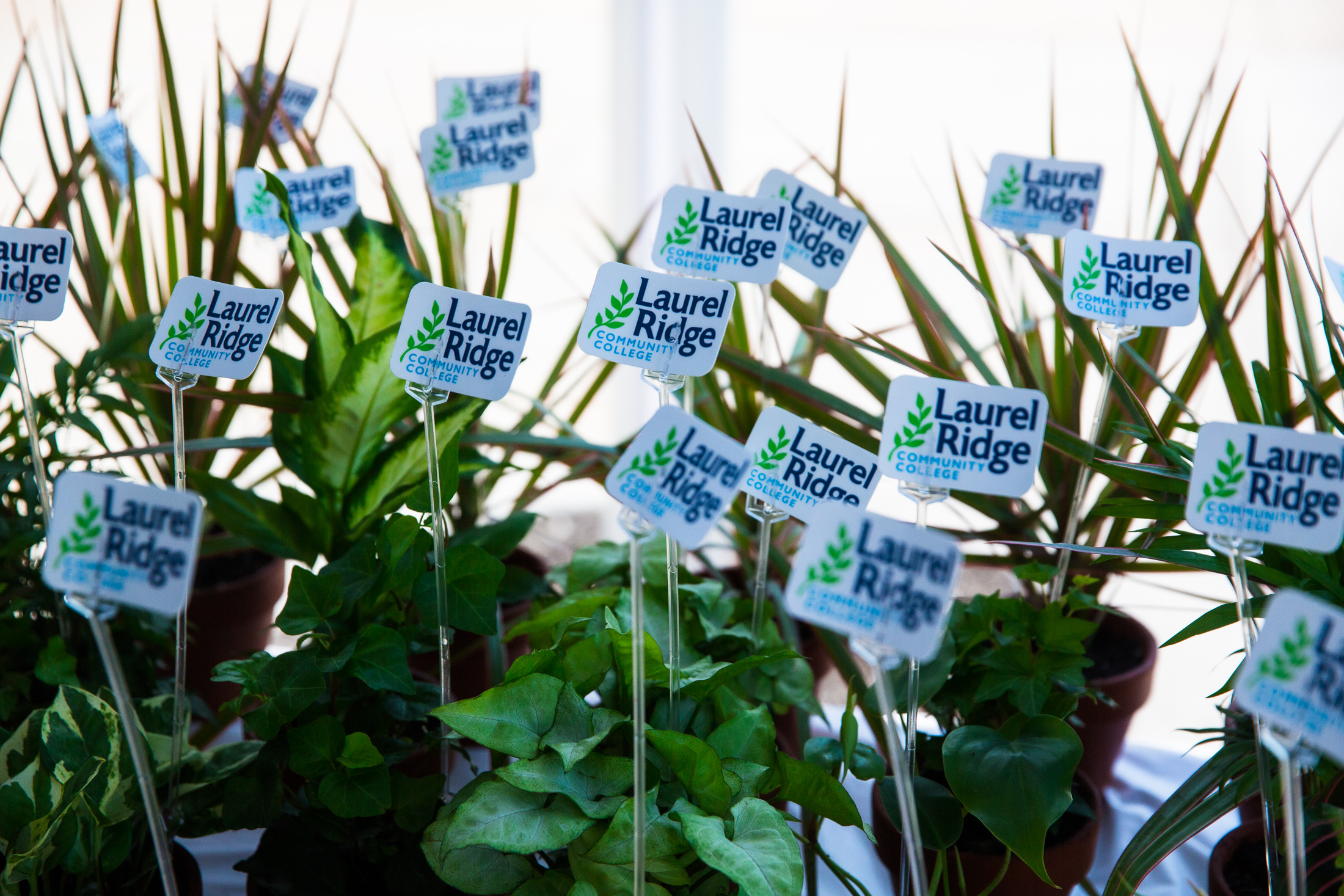 Plants with Laurel Ridge tags
